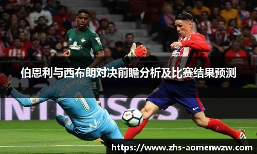 王中王资料大全